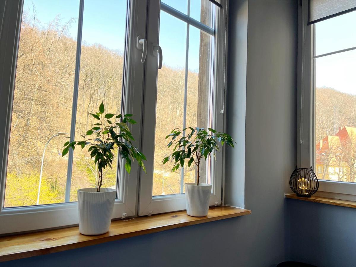 Noclegi Pod Muflonem Walbrzych Bagian luar foto